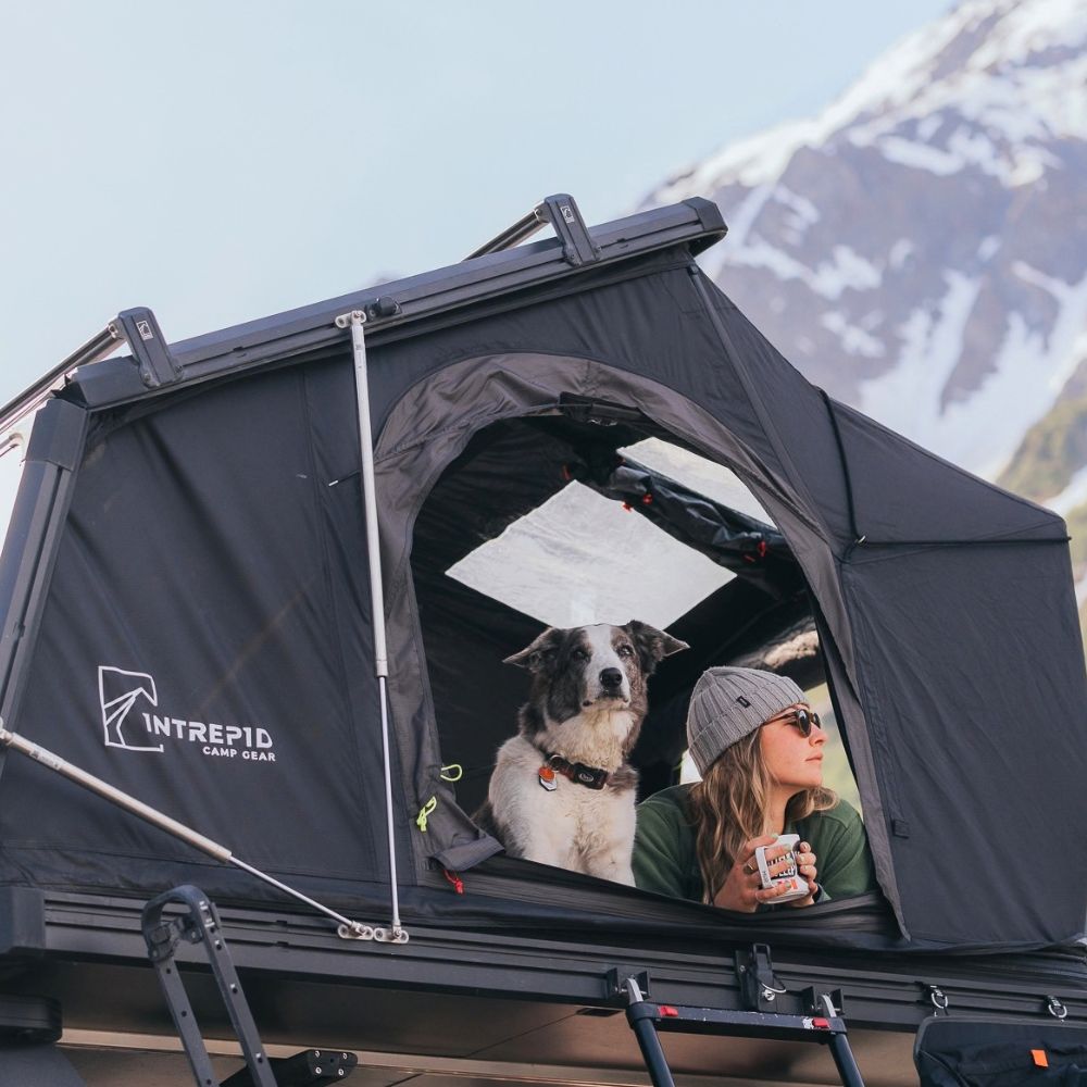 camping with a dog